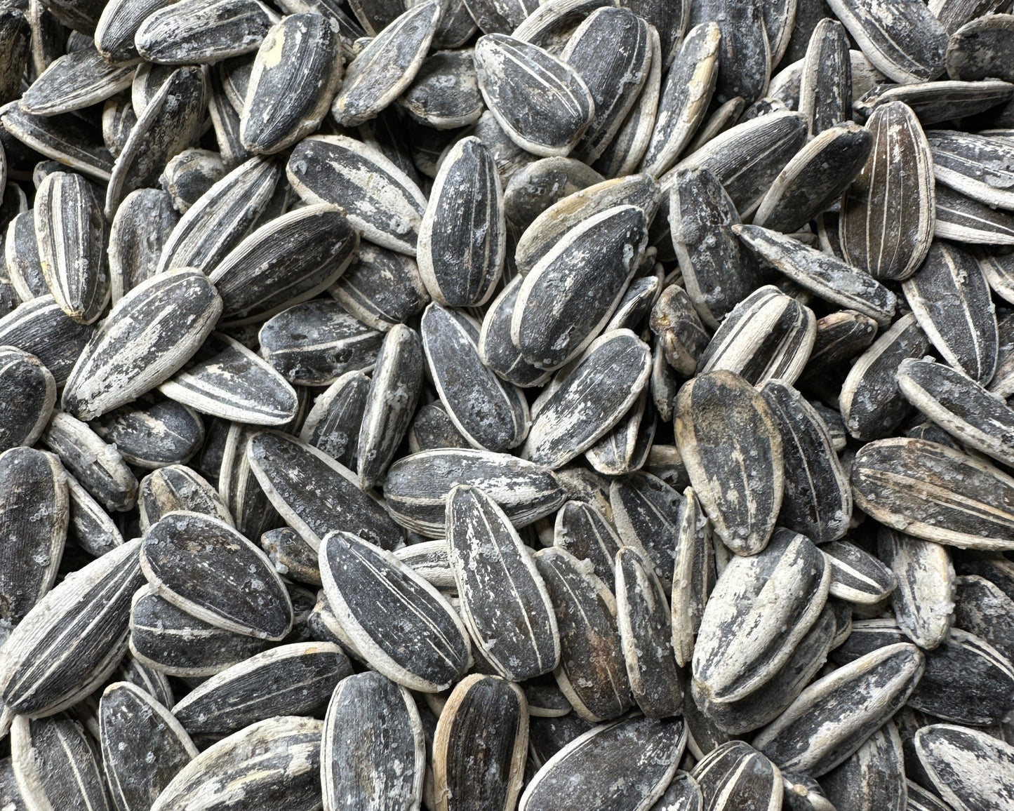 Graines de Tournesol grillées et salées (Pipas)