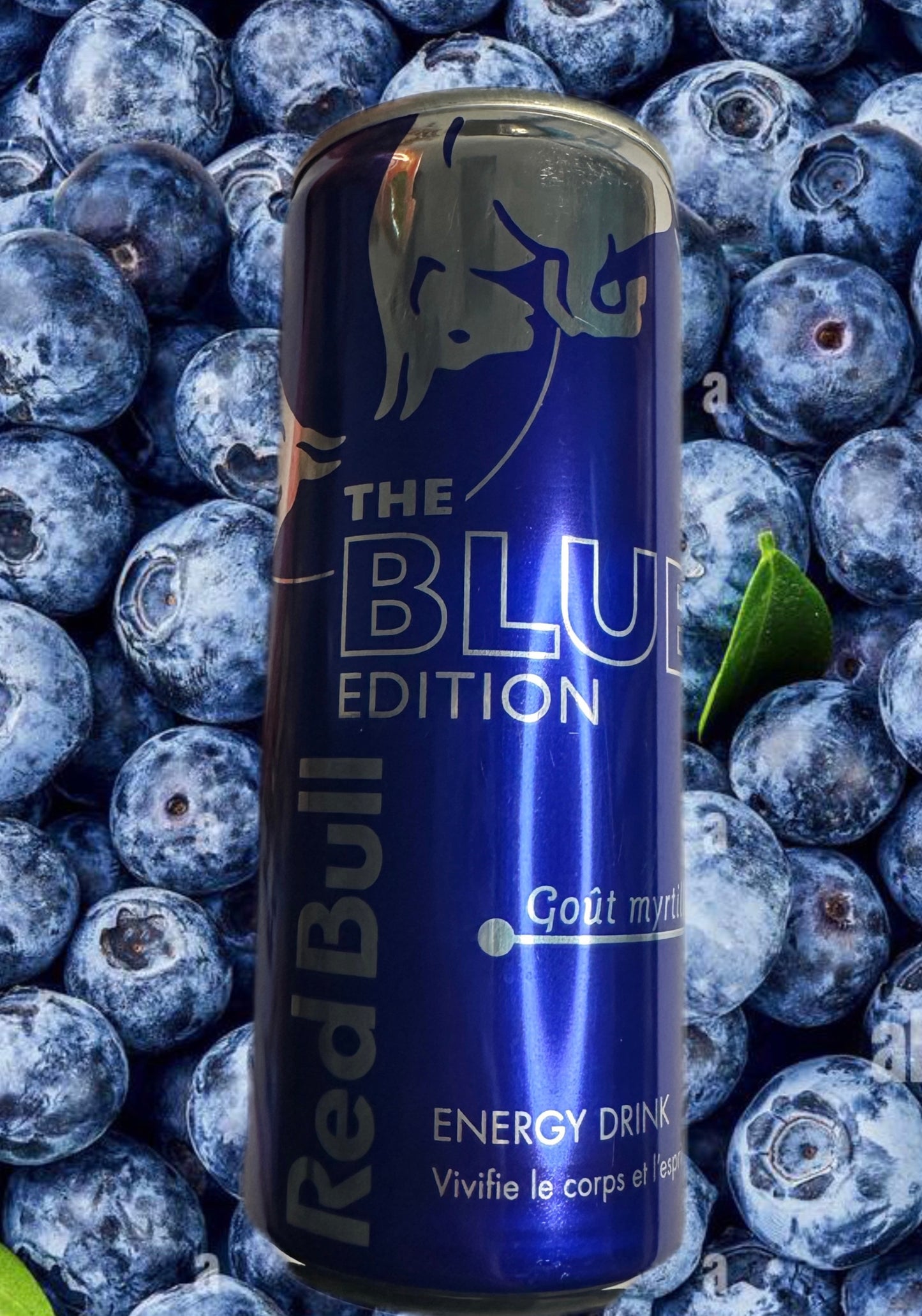 RED BULL goût myrtille 25cl